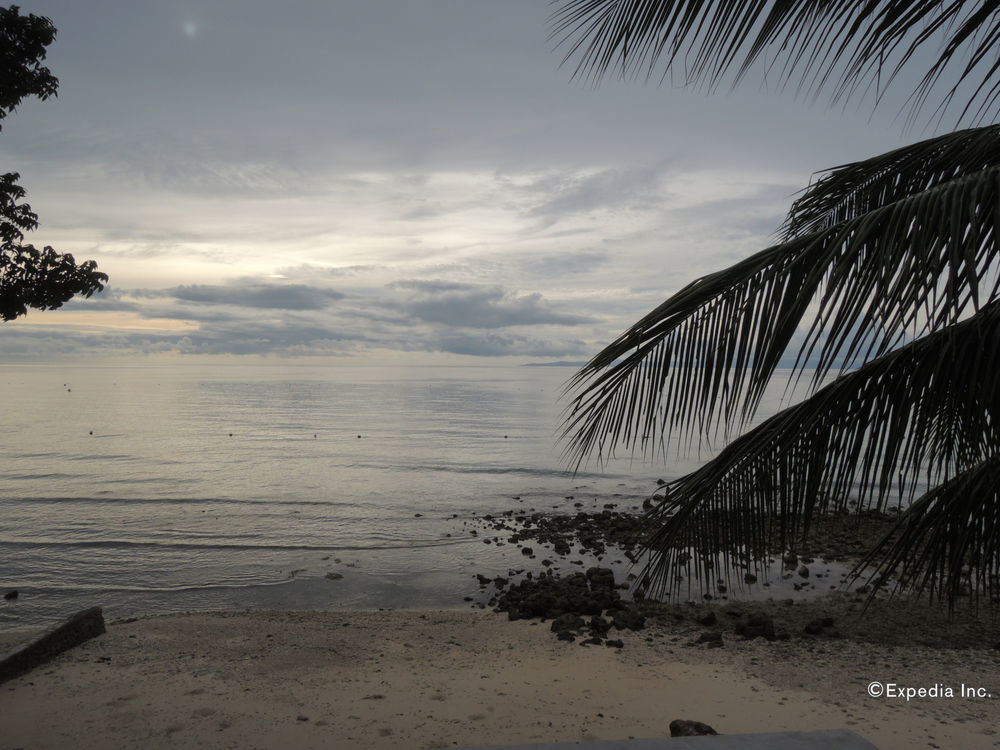 Anton'S Beach Resort Oslob Extérieur photo
